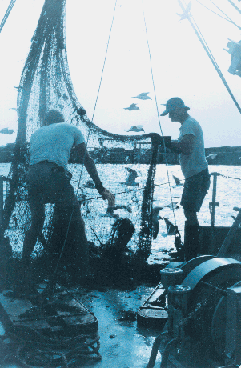 fishermen with net