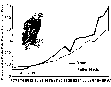 eagle count