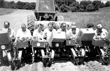 planting tobacco